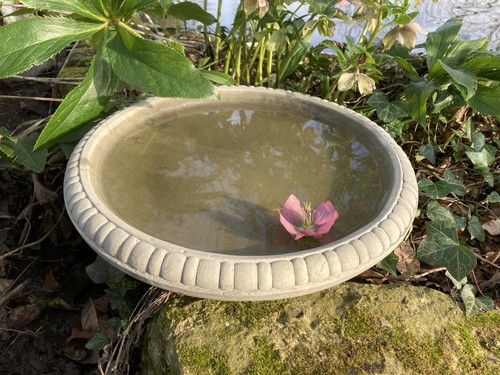 Stone garden bird - garden,