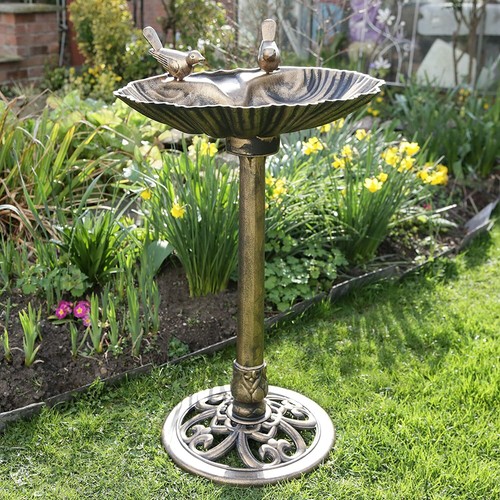 Bird bath feeder - bird,