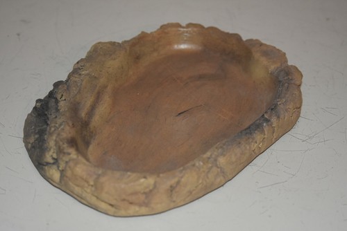Terrario grande piatto acqua - , e